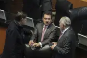 Ignacio Mier: Reforma electoral 'Plan B' no será aprobada por fast track en el Senado