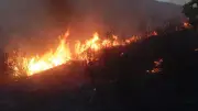 Incendio Devasta Sierra de Guadalupe en Tlalnepantla; Bomberos Luchan por Controlarlo
