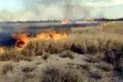 Incendio en pastizal de El Carmen afecta hectáreas y moviliza a bomberos