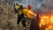 Incendio forestal en Bosque de la Primavera, Jalisco, afecta 224 hectáreas de flora y fauna