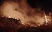 Incendios en pastizales de Puerto Vallarta mantienen en alerta a Protección Civil y Bomberos