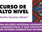 INE y OEA lanzan curso para 500 mujeres indígenas aspirantes a cargos políticos