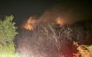 Jalisco: Brigadistas combaten incendios forestales en Cabo Corrientes sin control