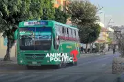 Jalisco cancela incremento a tarifa del transporte público tras presión social