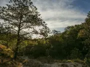 Jalisco impone multas y cárcel por uso de vehículos recreativos en áreas naturales