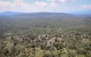 Jalisco impulsa ordenamiento territorial para proteger el Bosque La Primavera de la expansión urbana