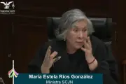 La ministra Ríos y el argumento in vitro: un debate constitucional