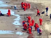 Limpieza de hidrocarburos en Golfo de México alcanza 85% de avance