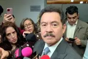 Mier descarta 'fast track' para el Plan B de reforma electoral en el Senado