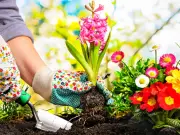 Naucalpan implementa talleres ambientales en San Francisco Chimalpa para fomento sustentable