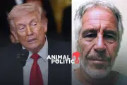 Nuevos Documentos Judiciales Revelan Vínculos de Trump con Epstein
