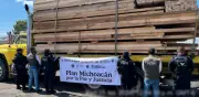 Operativo contra tala ilegal en Michoacán deja 14 detenidos y asegura madera