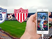 Pachuca vs Necaxa: Tuzos Buscan Consolidarse en la Cima en el Clausura 2026