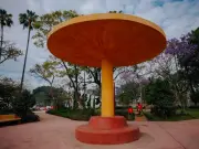 Parque Rojo de Guadalajara renace con restauración integral previo a Mundial 2026