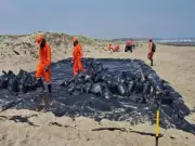 Pemex reporta 88% de avance en limpieza de hidrocarburos en playas de Veracruz y Tabasco