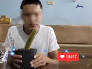 Policía Cibernética alerta sobre peligrosos retos virales que incitan a menores a comer cactus