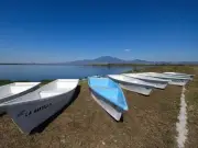 Presa La Vega en Jalisco: Contaminación por lirio acuático amenaza humedal Ramsar y turismo
