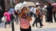 Pronóstico para Culiacán: Día despejado con 31°C y vientos moderados el 10 de marzo