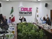 Propuesta para renombrar OPLES como 'Institutos de la Democracia' en reforma electoral