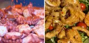 Pulpo vs Calamar: Guía Definitiva para Distinguirlos y Cocinar con Éxito