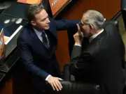 PVEM rechaza 'operación cicatriz' pero llama a diálogo con Morena tras fracaso de reforma electoral