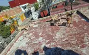 Rescatan a 18 perros abandonados y desnutridos en azotea de colonia Polanco en Guadalajara