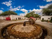 Ruta del Mezcal en Guanajuato: Un Viaje Sensorial por los Paisajes del Agave