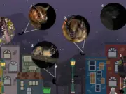 Tlacuaches y Murciélagos: Los Guardianes Nocturnos de Nuestras Ciudades