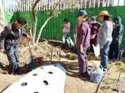 Tlaxcala impulsa composta casera para reducir residuos y fomentar autoconsumo