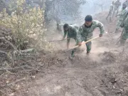 Veracruz registra 23 incendios forestales en 2026; alertan por temporada crítica