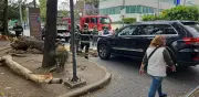 Vientos intensos derriban árboles y ramas sobre vehículos en la Ciudad de México