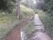 Zapopan protege 254 hectáreas del bosque El Centinela como área natural municipal