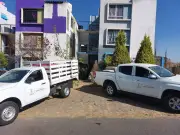 Zapopan y Fiscalía rescatan perros y gatos en situación vulnerable en Valle de los Molinos