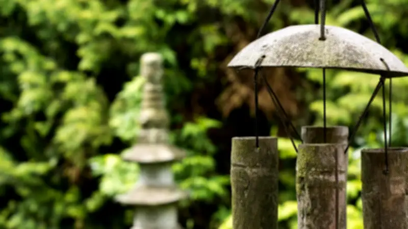 5 Plantas del Feng Shui para Atraer Prosperidad y Dinero a Tu Hogar