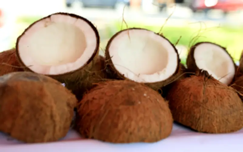 Aceite de Coco y Bicarbonato: La Combinación Infalible para Tu Rutina de Belleza
