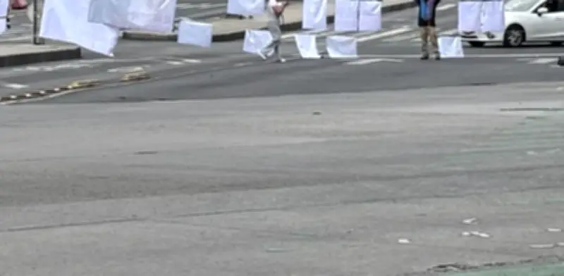 Activistas por los animales bloquean Insurgentes y Reforma exigiendo adopción responsable