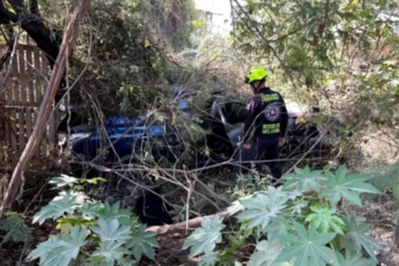 Adolescente cae con su auto a un arroyo en Nuevo León
