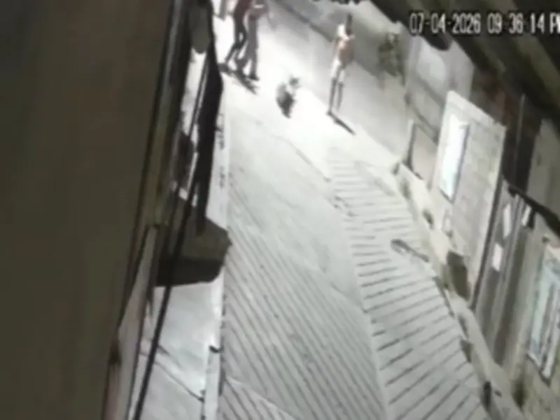 Agresión brutal en Mineral de la Reforma: Video muestra ataque a hombre con piedras