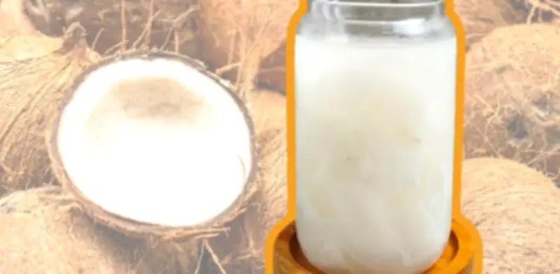 Agua de Coco Cremosa: La Receta Secreta de los Puestos Callejeros de la CDMX