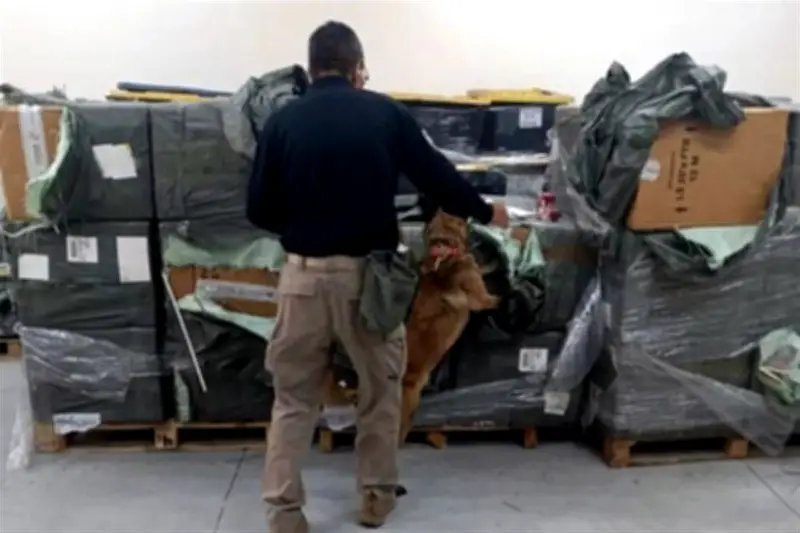 AICM decomisa 1.8 millones de cigarros irregulares en operativo de seguridad