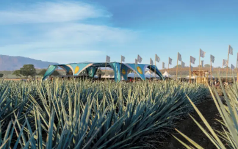 Akamba 2026: El Festival Electrónico que Late en los Campos de Agave de Tequila