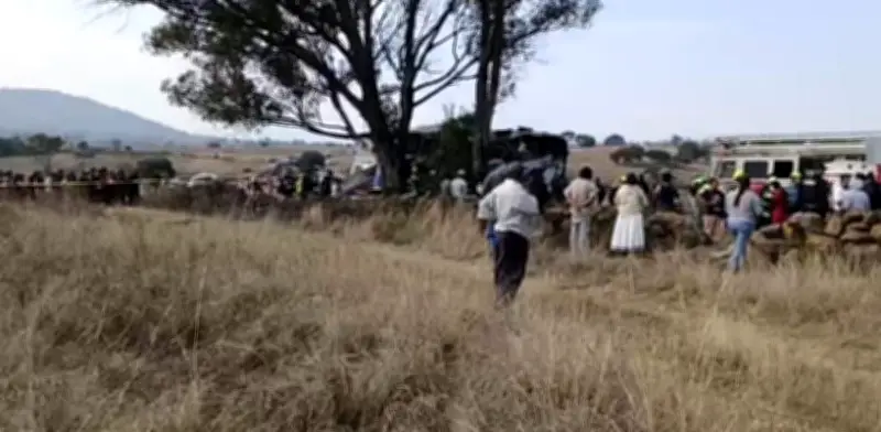 Al menos nueve muertos en trágico choque de autobús contra árbol en carretera de Querétaro