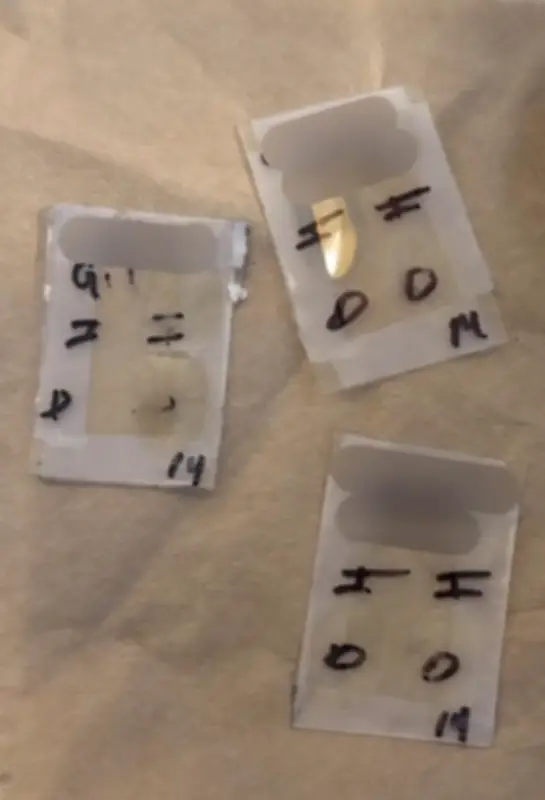 Alerta en Jalisco por fraude con clonación de huellas dactilares