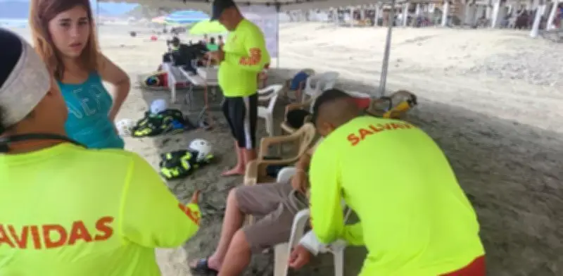 Alerta en playas de Michoacán por presencia del peligroso dragón azul