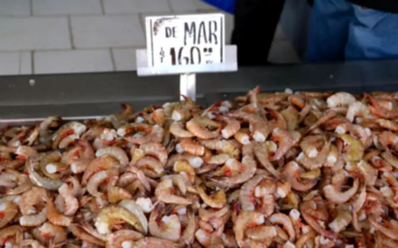 Alerta Sanitaria: Nodavirus Marino Ahora Infecta a Humanos en China