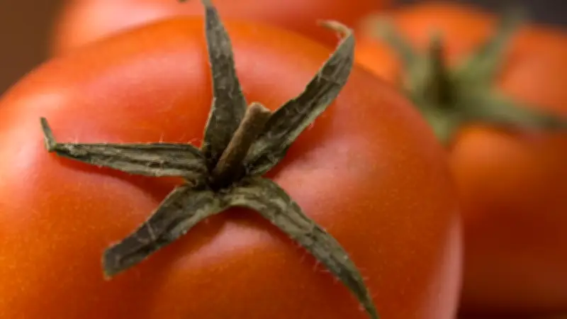 Alternativas económicas al jitomate: 5 opciones para dar color y sabor según IA