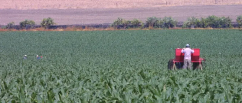 Alza de fertilizantes golpea al campo mexicano y amenaza precios de alimentos