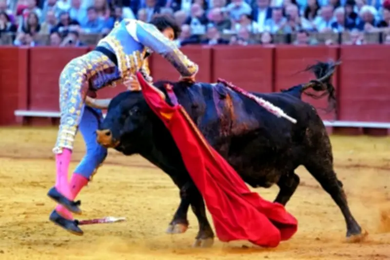 Andrés Roca Rey sufre cornada en faena en Sevilla