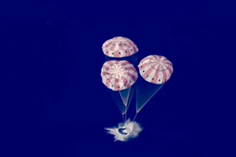 Artemis: El Escudo de Bienvenida que Resiste el Tiempo y la Historia