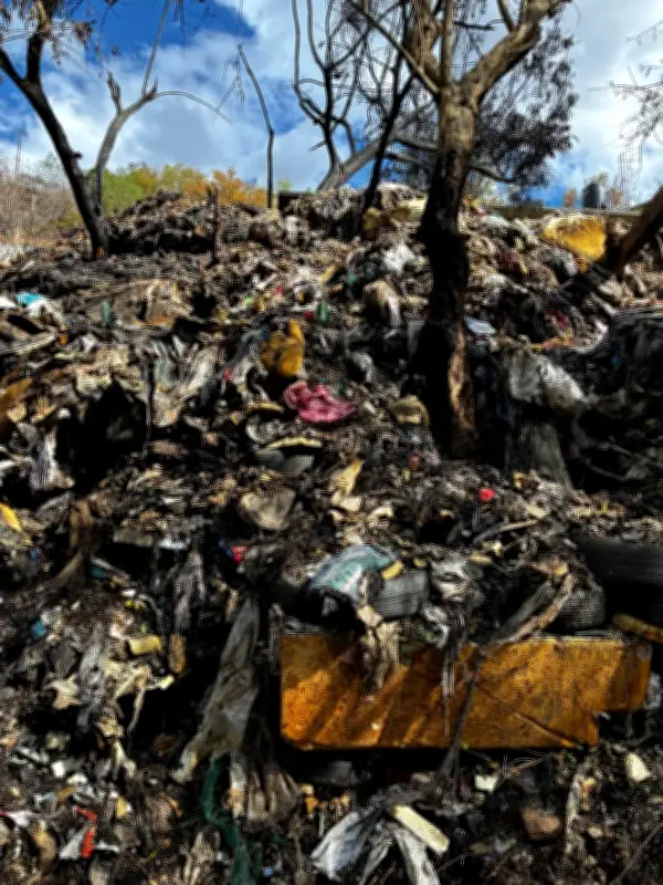 Artistas evocan a Francisco Toledo tras incendio en basurero clandestino de San Agustín Etla
